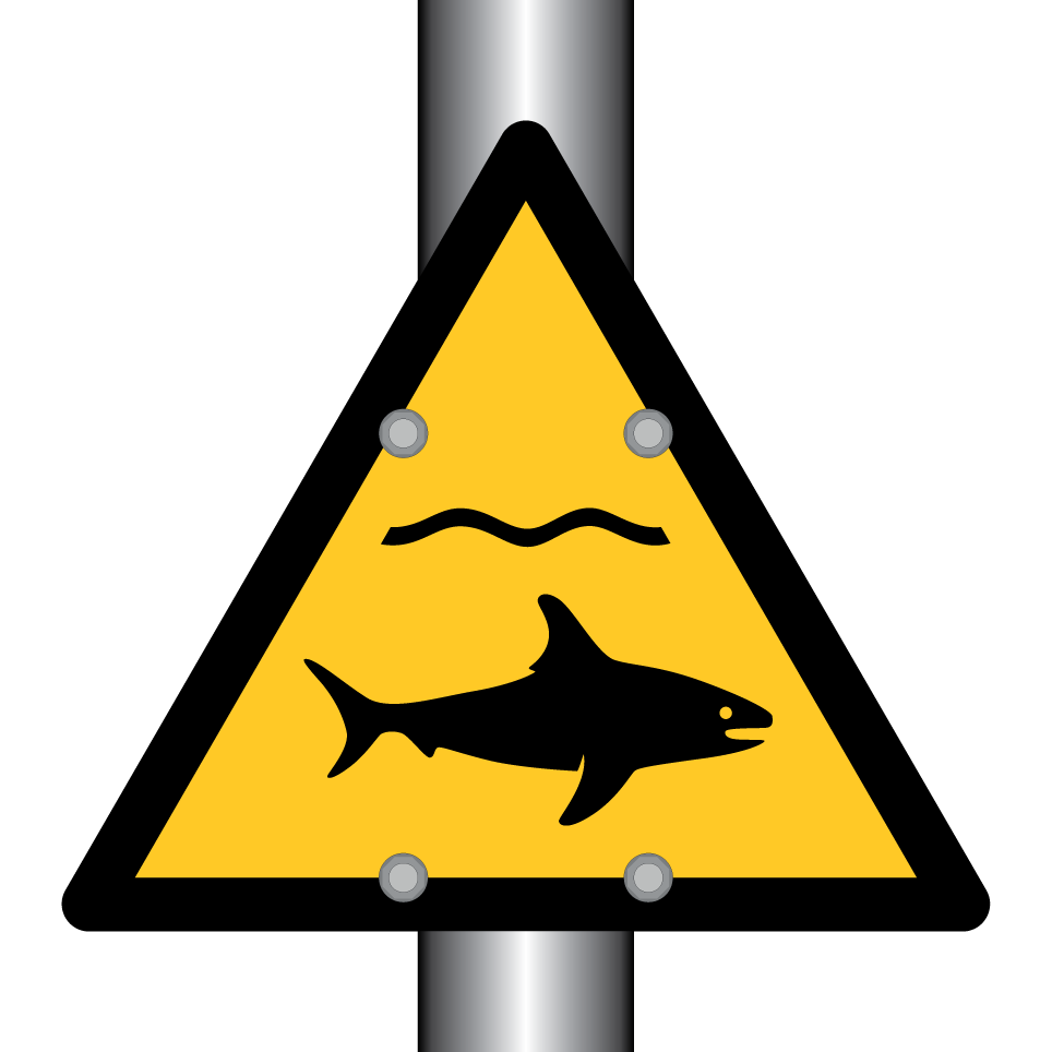 W054 Warning Shark