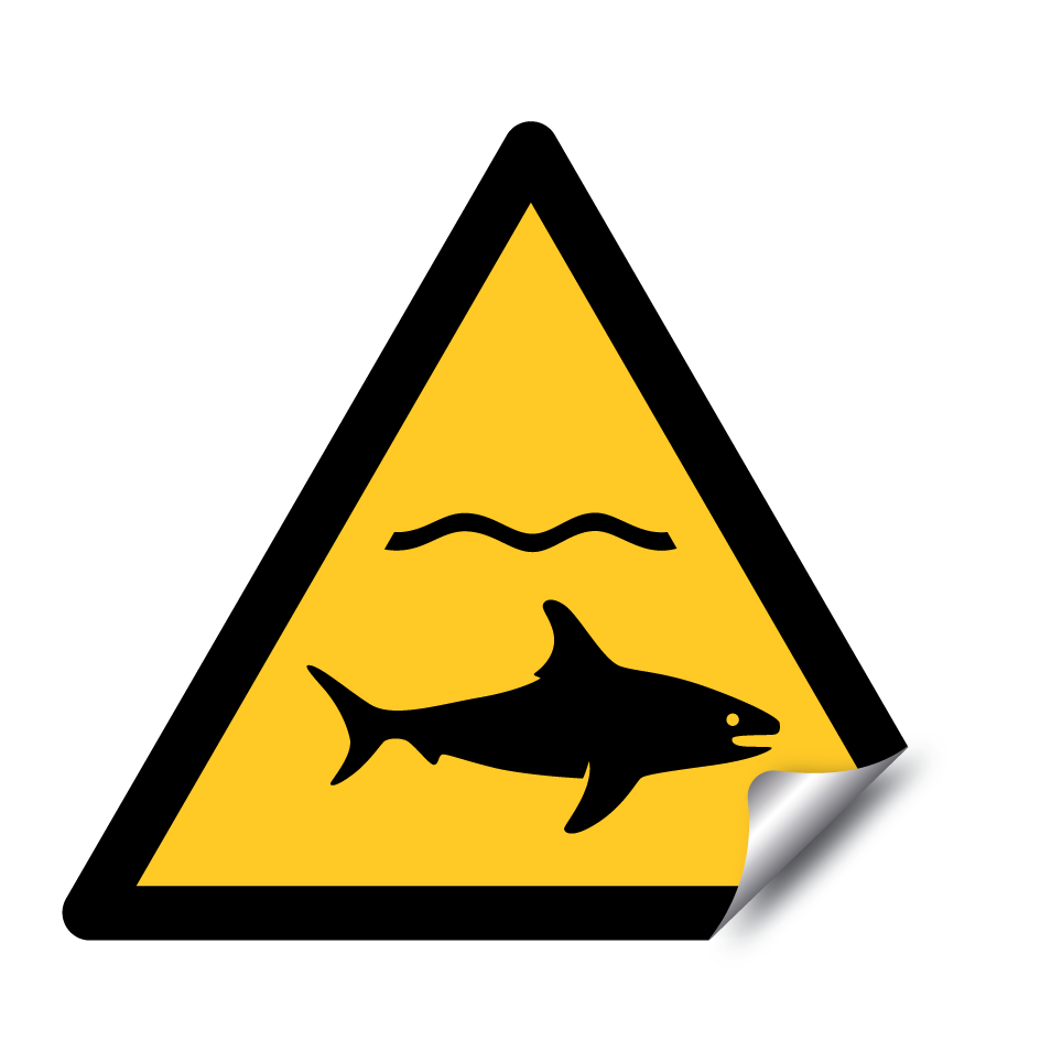 W054 Warning Shark