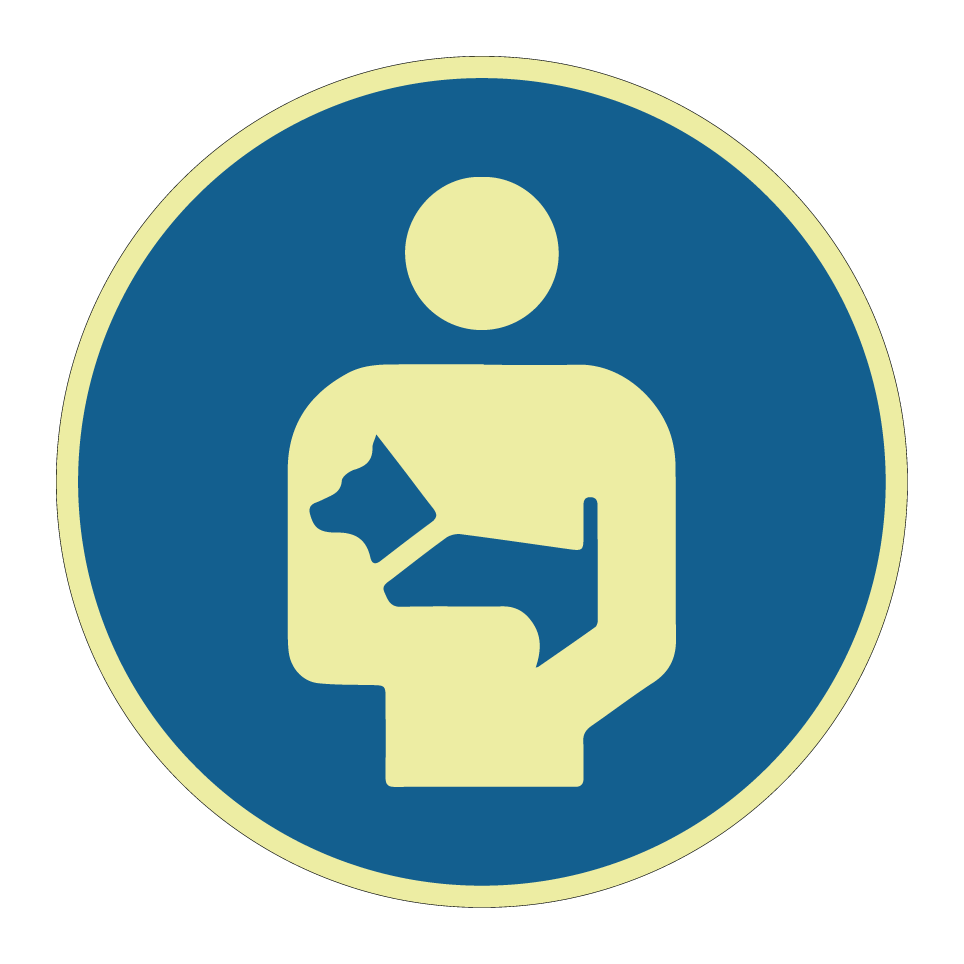 Carry small animals in arms