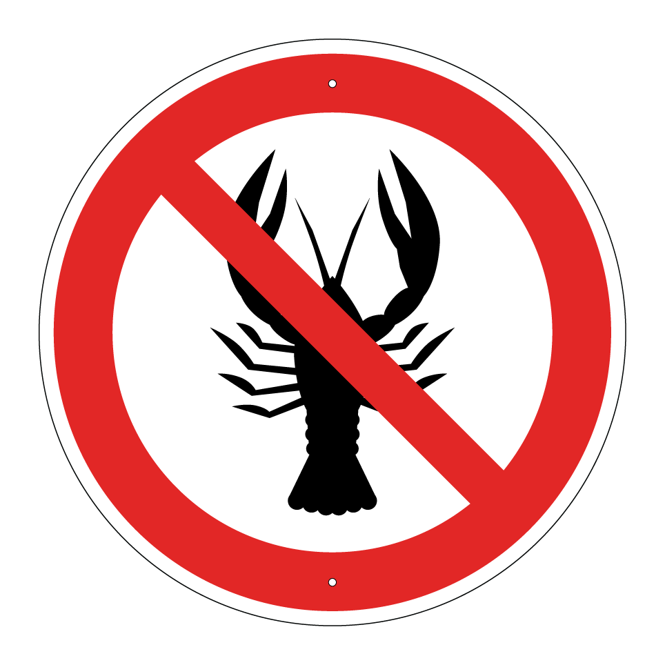 No shellfish (allergy restriction)