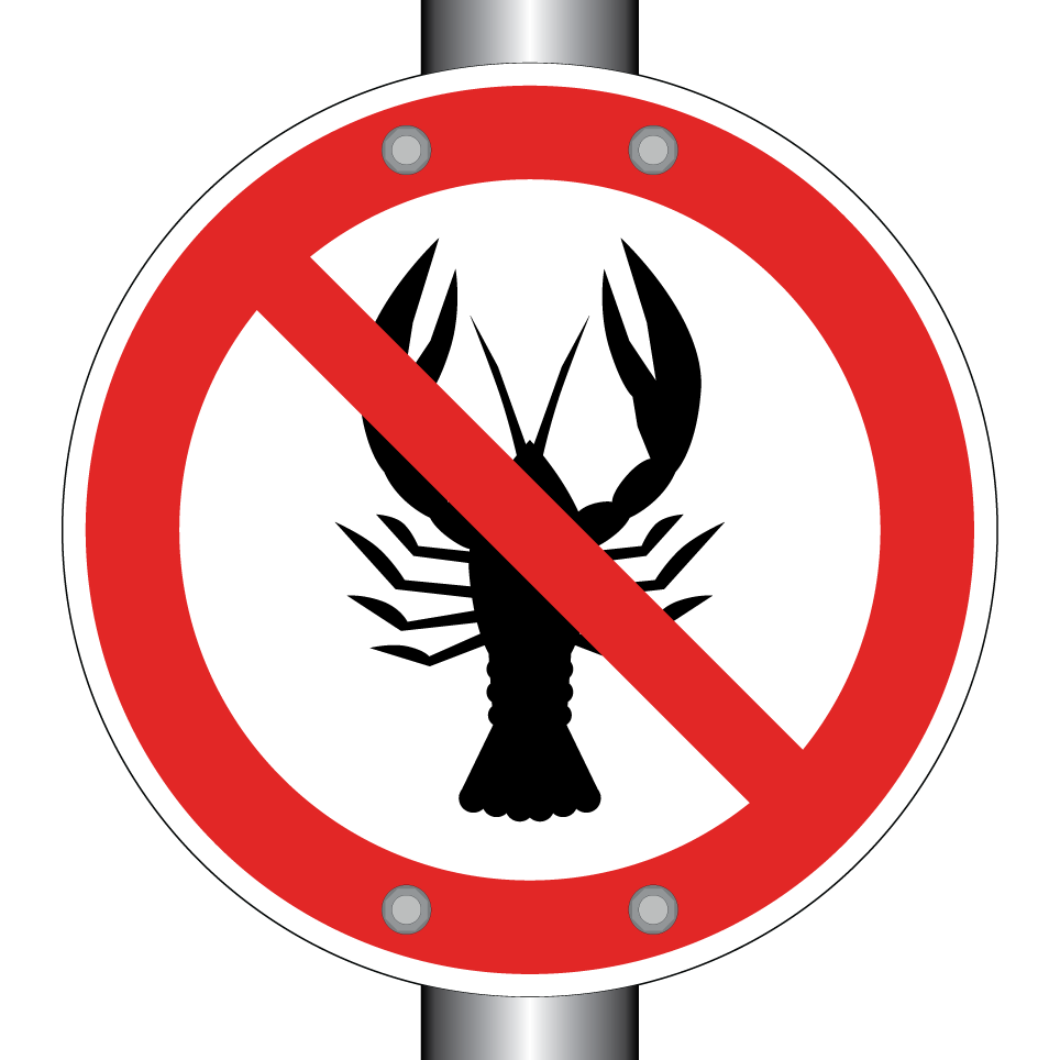 No shellfish (allergy restriction)