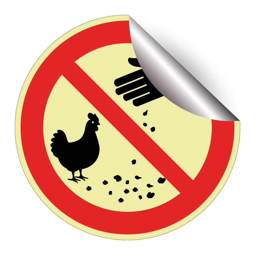 No feeding chickens