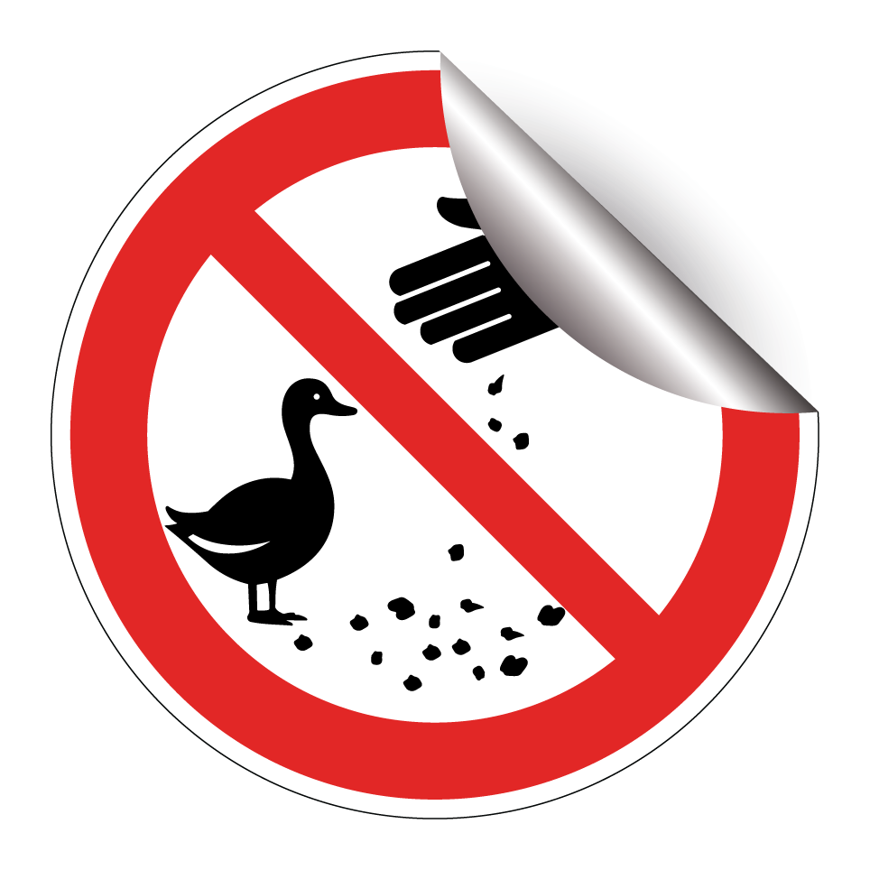 Nourrir les canards interdit