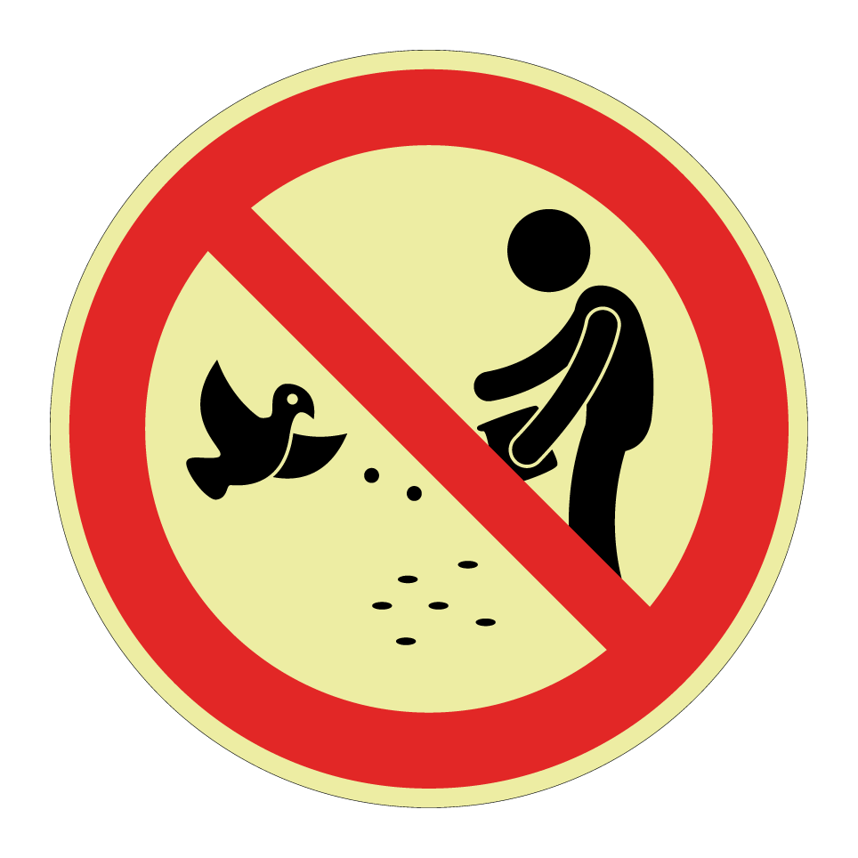 No dar de comer a las aves