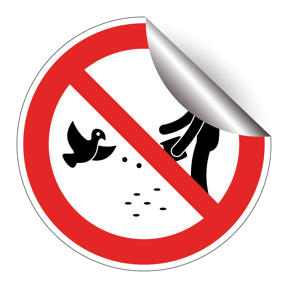 No dar de comer a las aves