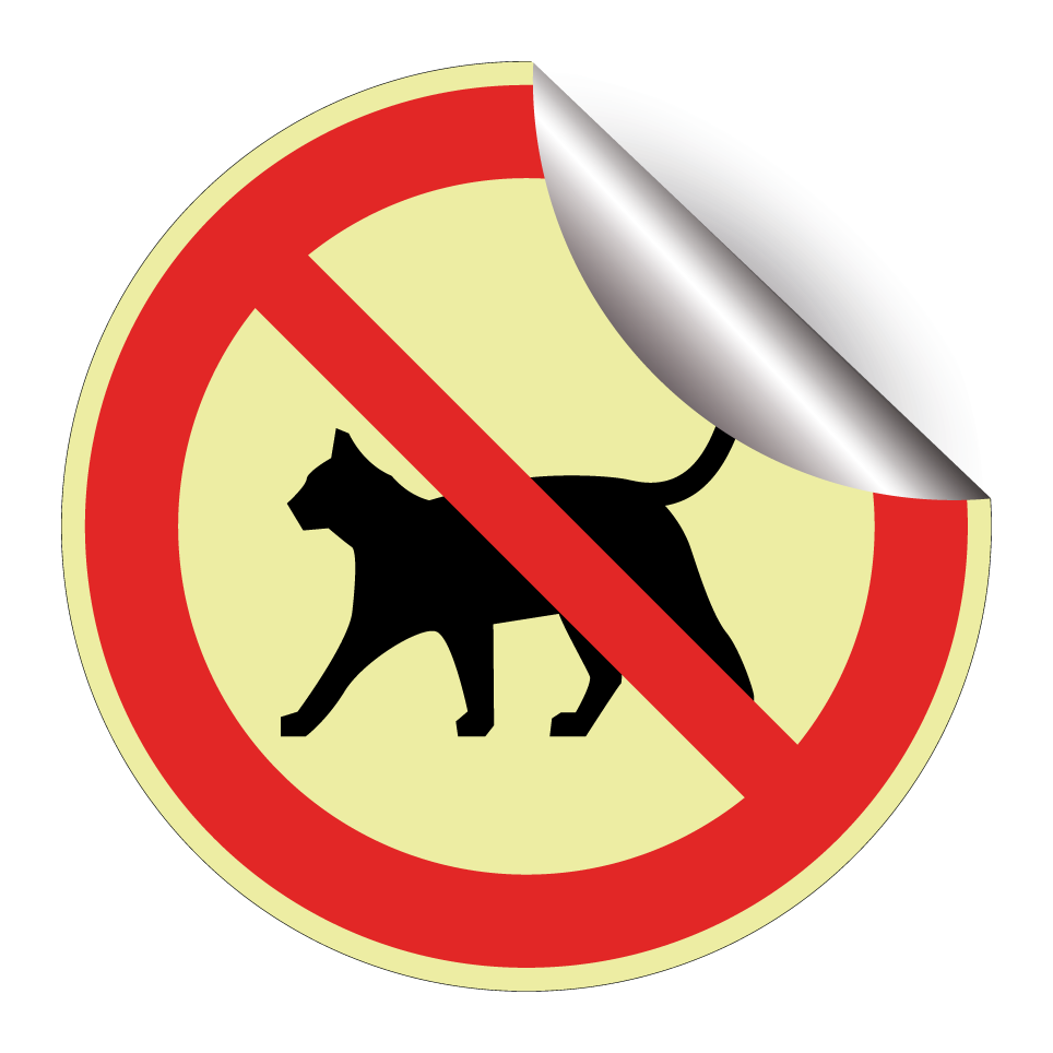 No cats
