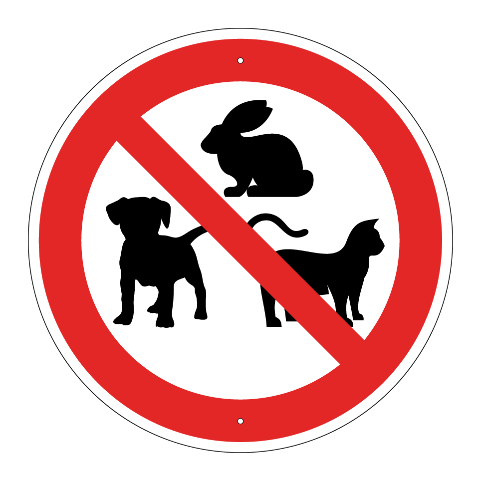 No pets