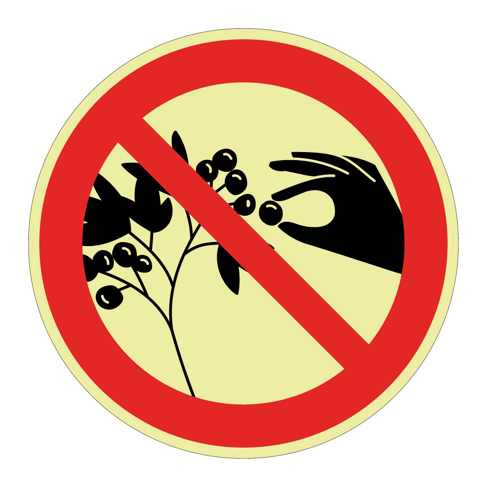 No picking berries
