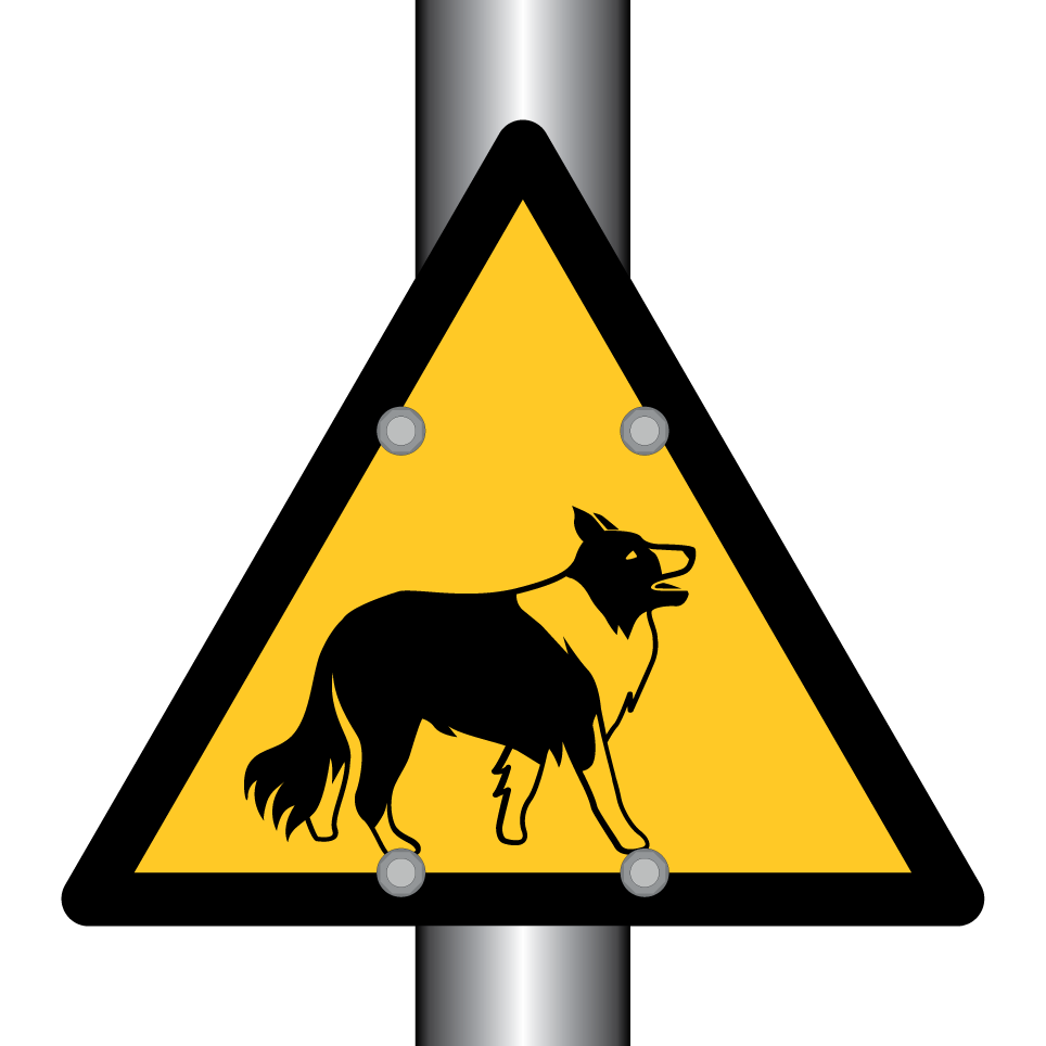 Collie de advertencia