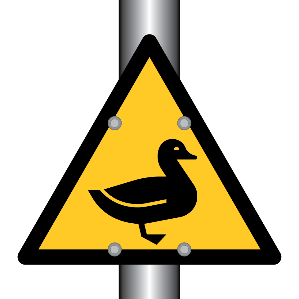 Warning duck