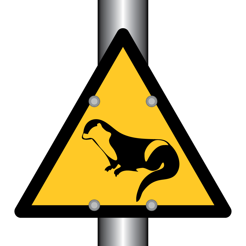 Cruce de nutrias