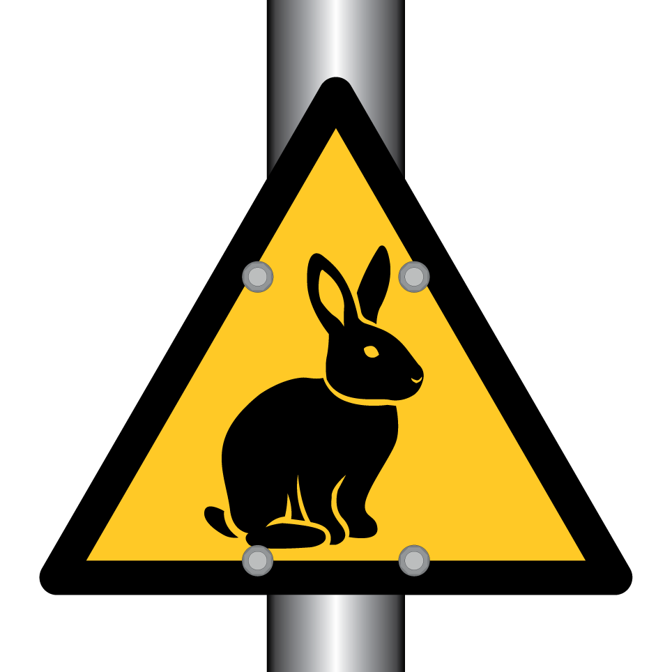 Warning rabbit