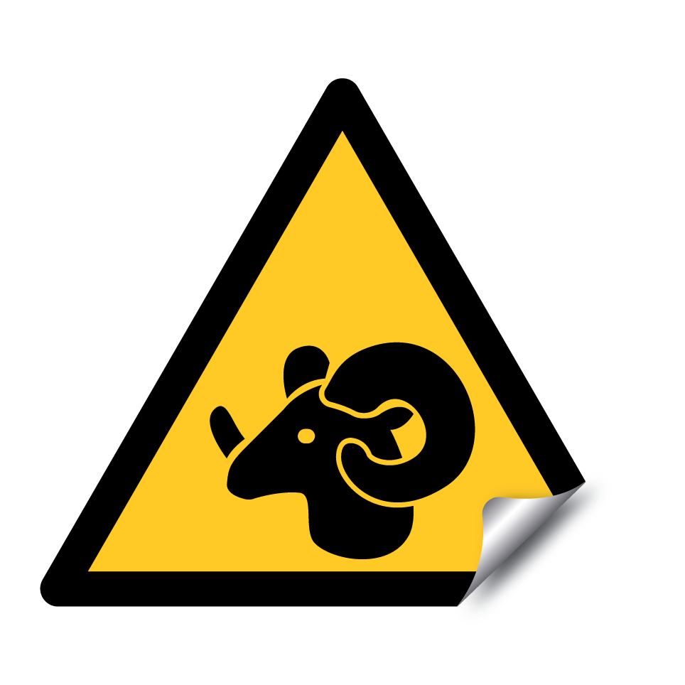 Advertencia de RAM