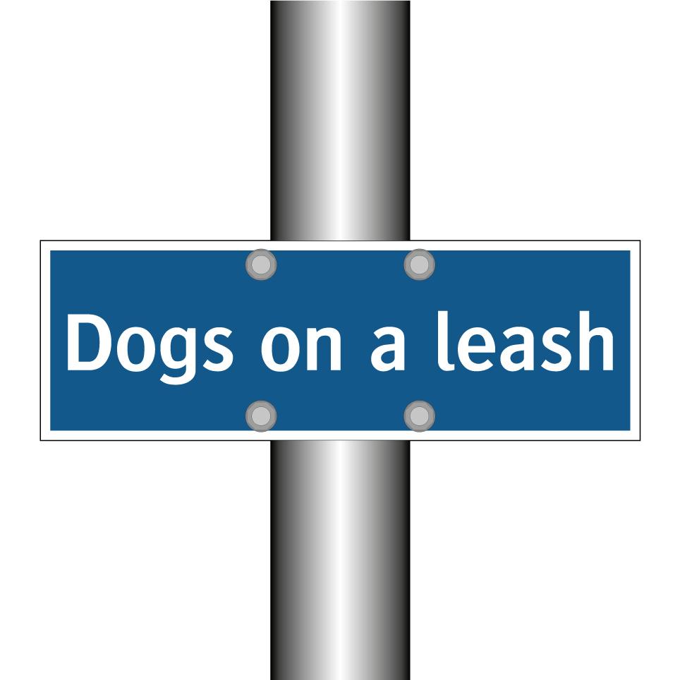 Dogs on a leash