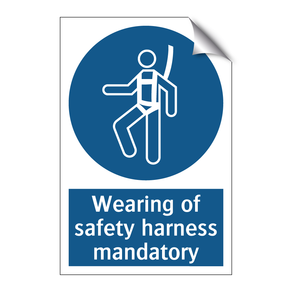 Wearing of safety harness mandatory