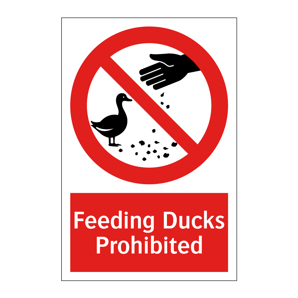 Feeding Ducks Prohibited