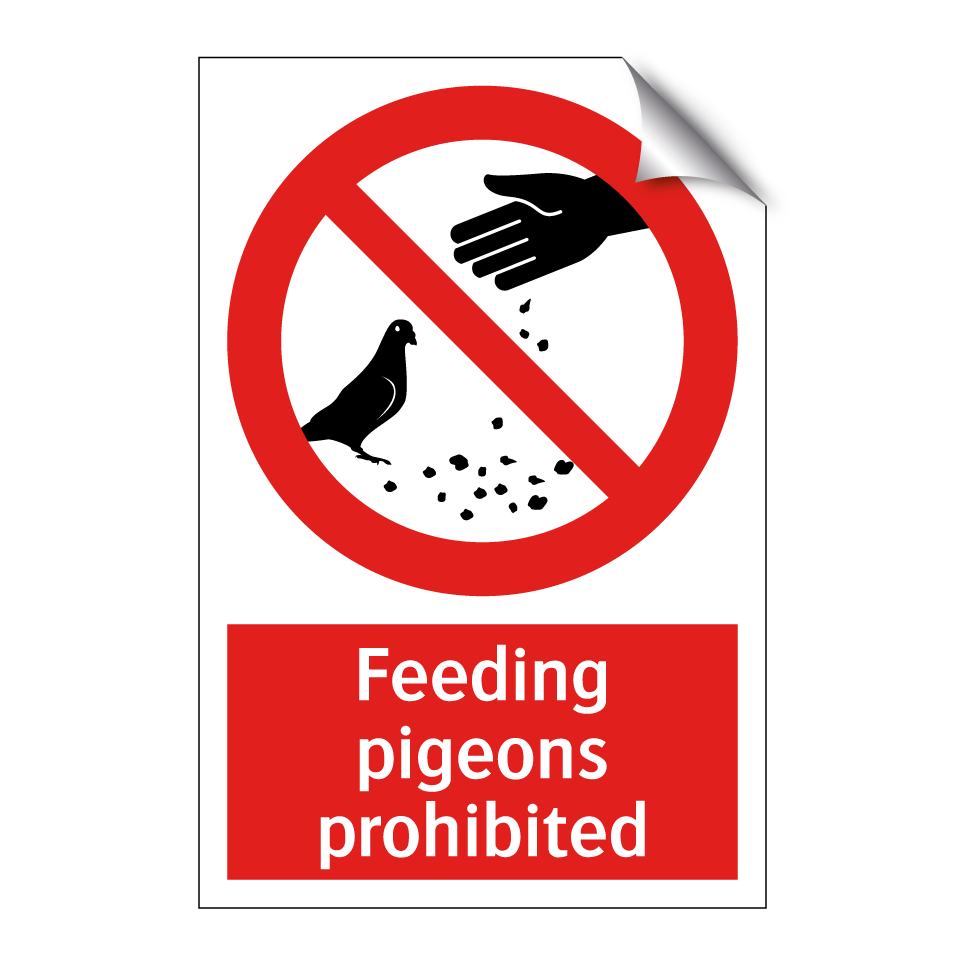 Feeding pigeons prohibited