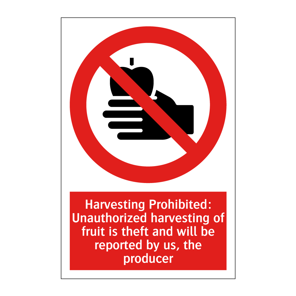 Harvesting Prohibited: Unauthorized harvesting of fruit is theft and will be reported by us, the producer