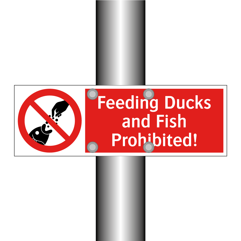 Feeding Ducks and Fish Prohibited!
