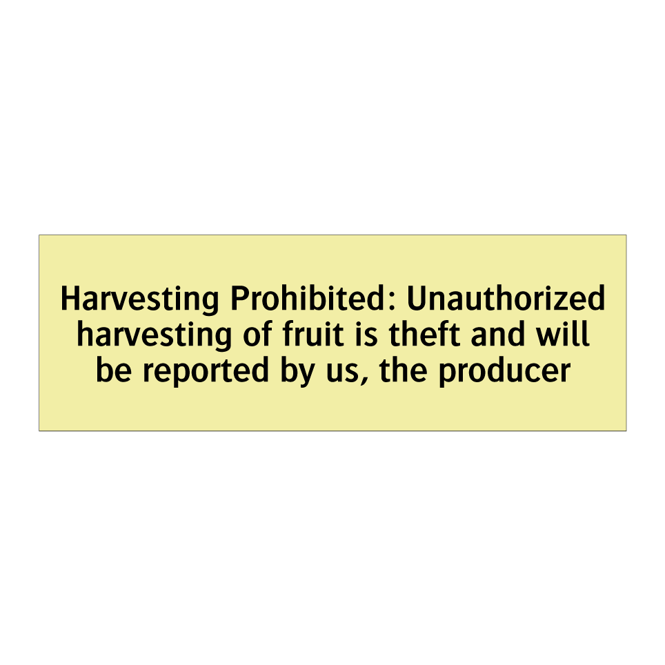 Harvesting Prohibited: Unauthorized harvesting of fruit is theft and will be reported by us, the producer
