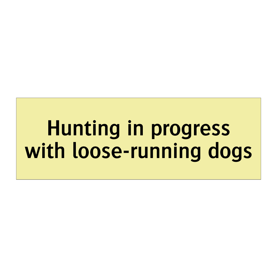 Hunting in progress with loose-running dogs