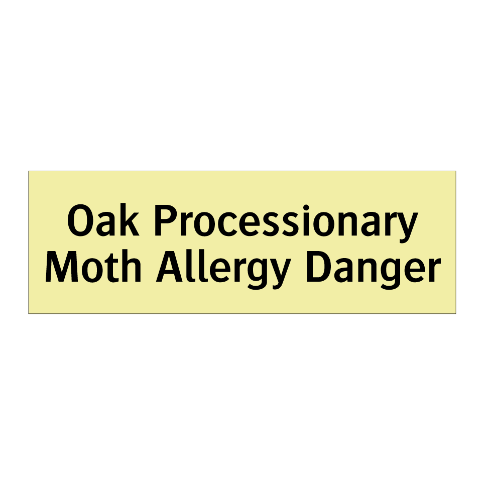 Oak Processionary Moth Allergy Danger