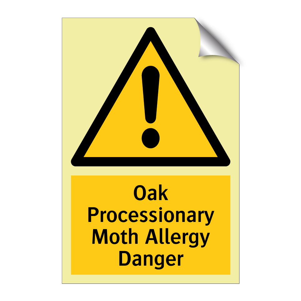 Oak Processionary Moth Allergy Danger