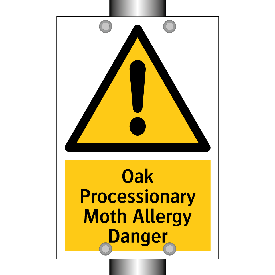 Oak Processionary Moth Allergy Danger