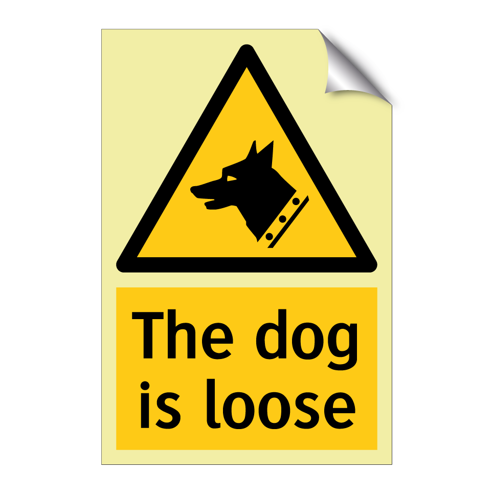 The dog is loose