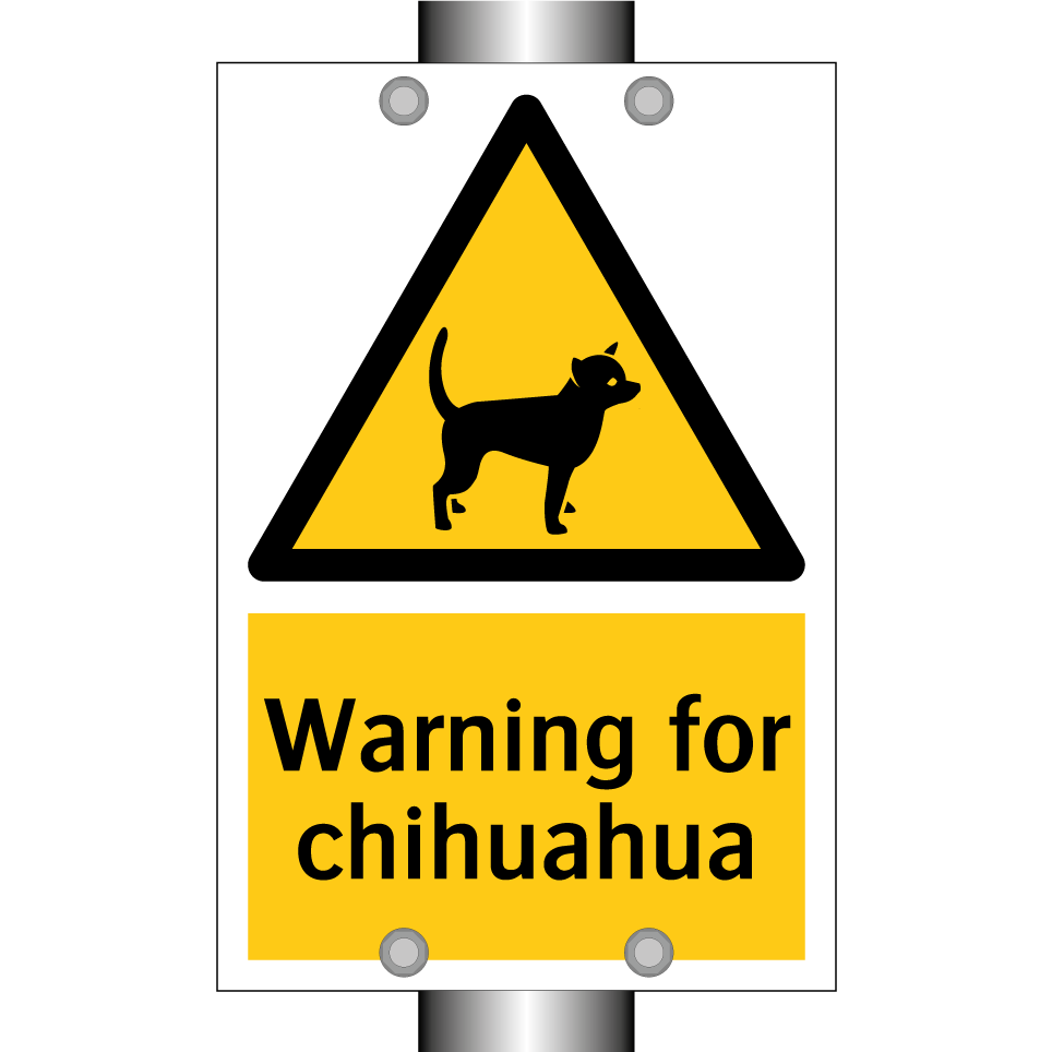Warning for chihuahua