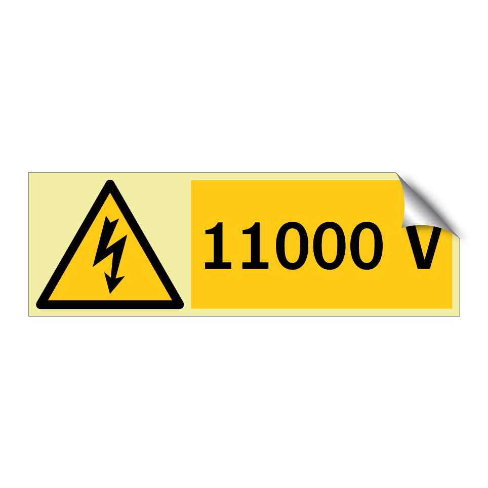 11000 V