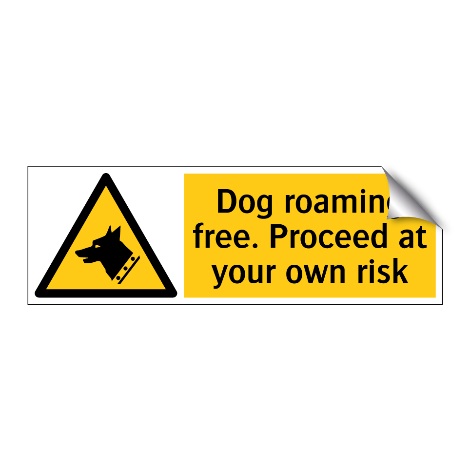 Dog roaming free. Proceed at your own risk