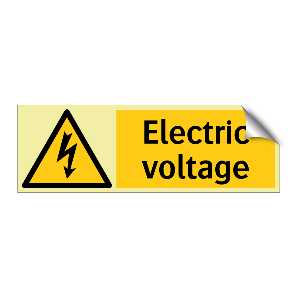Electric voltage
