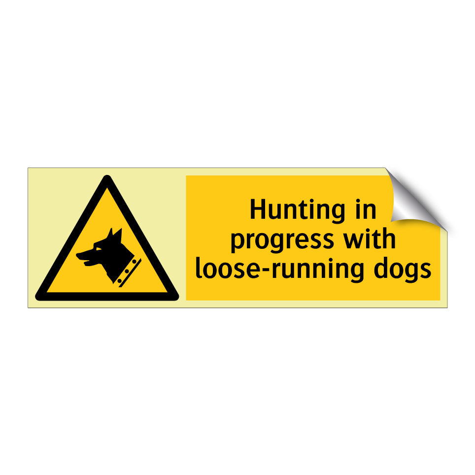 Hunting in progress with loose-running dogs