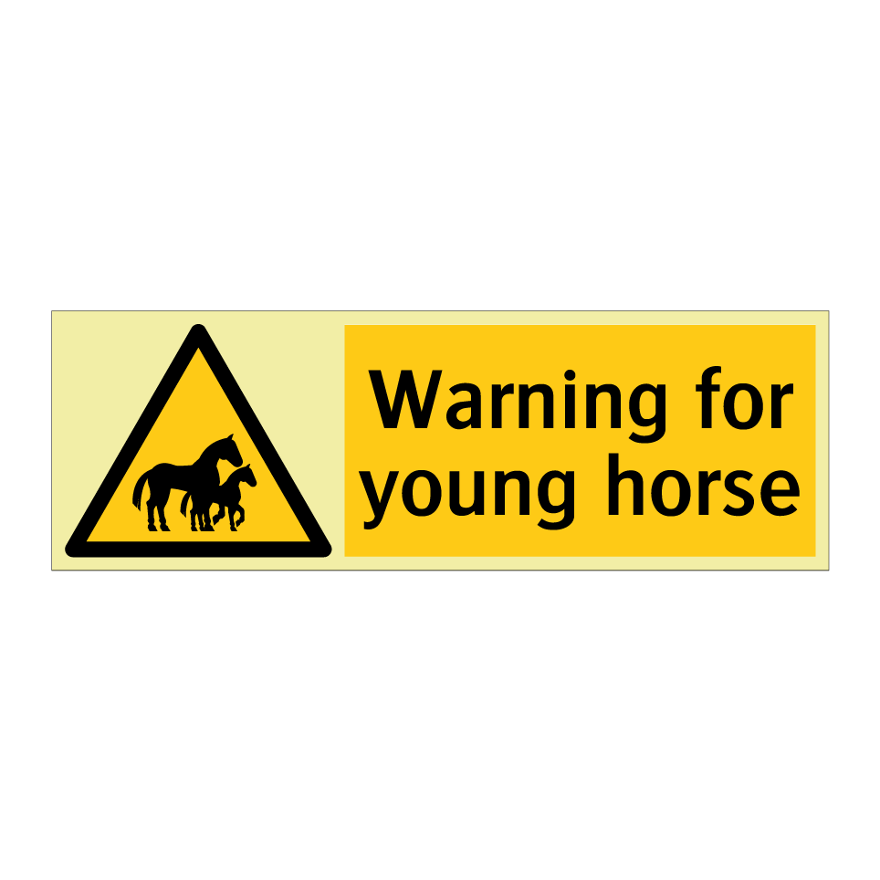 Warning for young horse