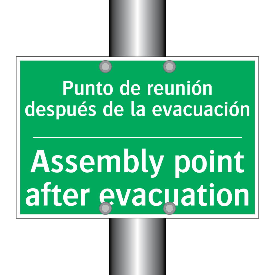 Punto de reunión después de /.../ - Assembly point after /.../