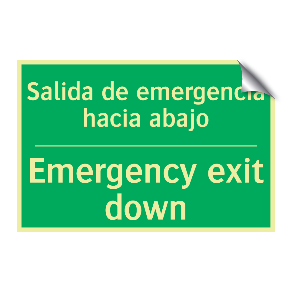 Salida de emergencia hacia /.../ - Emergency exit down