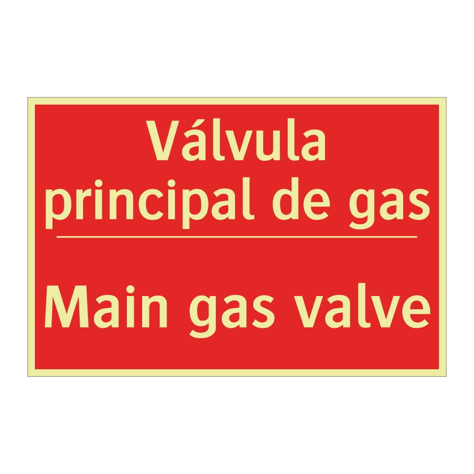Válvula principal de gas - Main gas valve