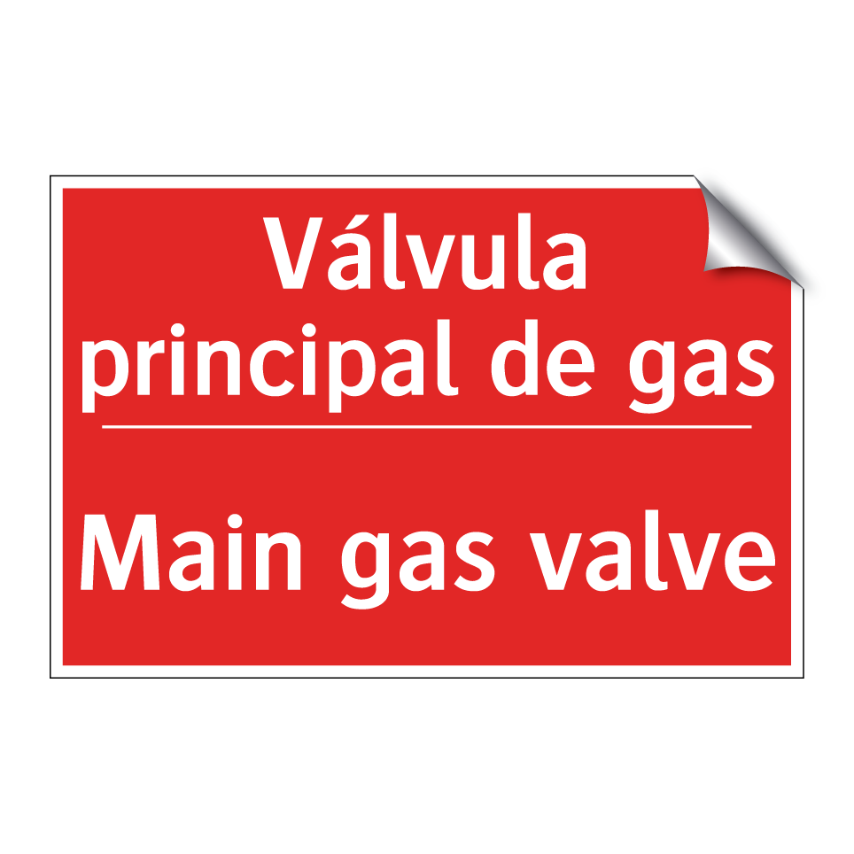 Válvula principal de gas - Main gas valve