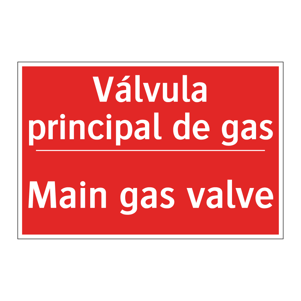 Válvula principal de gas - Main gas valve