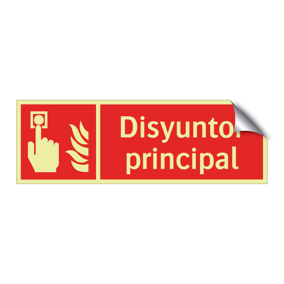 Disyuntor principal