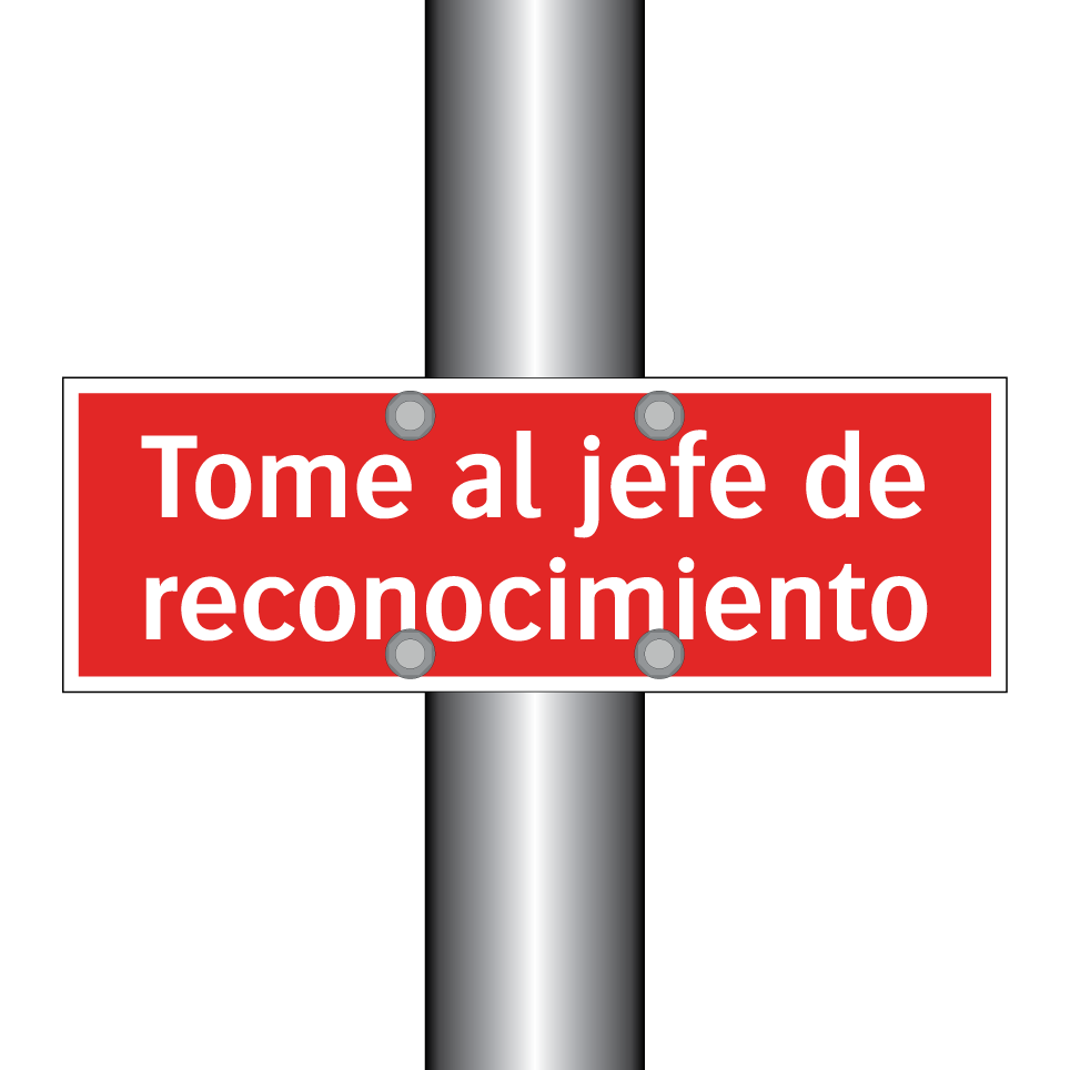 Tome al jefe de reconocimiento