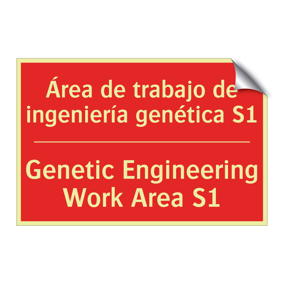 Área de trabajo de ingeniería /.../ - Genetic Engineering Work Area /.../
