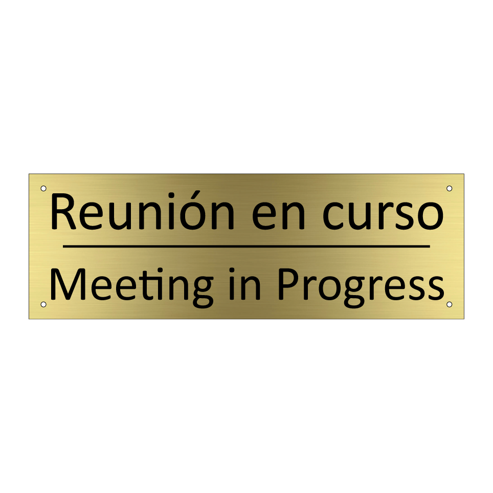 Reunión en curso - Meeting in Progress