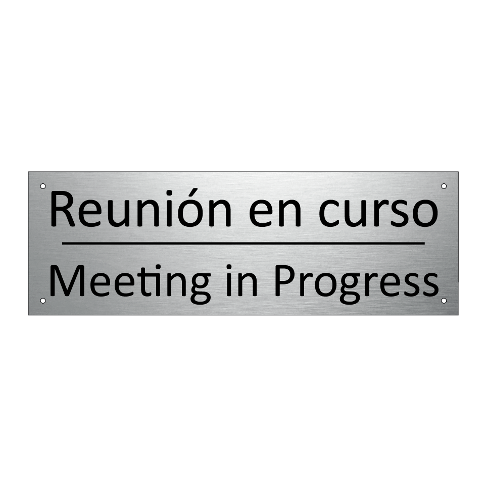 Reunión en curso - Meeting in Progress
