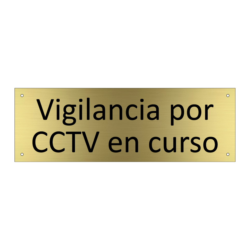 Vigilancia por CCTV en curso