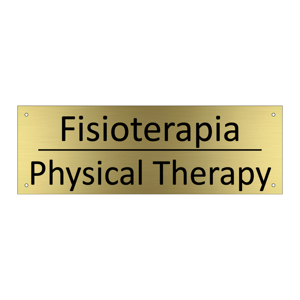 Fisioterapia - Physical Therapy