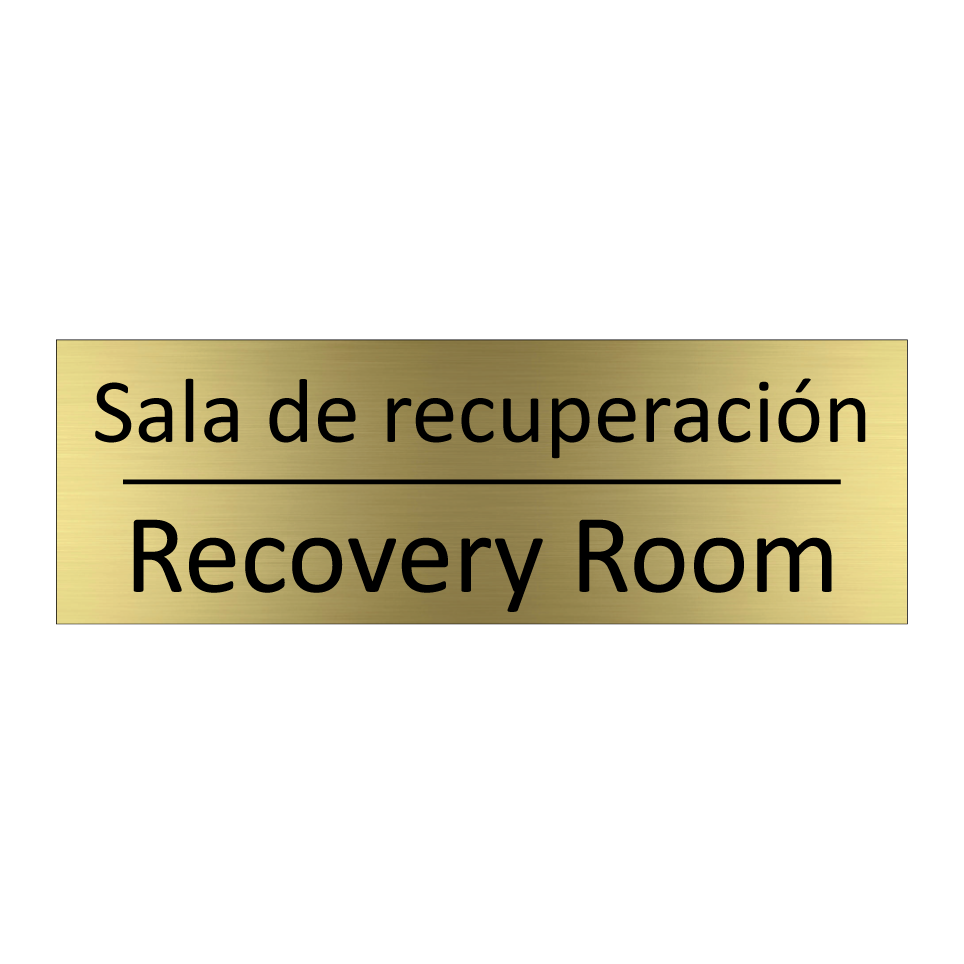 Sala de recuperación - Recovery Room