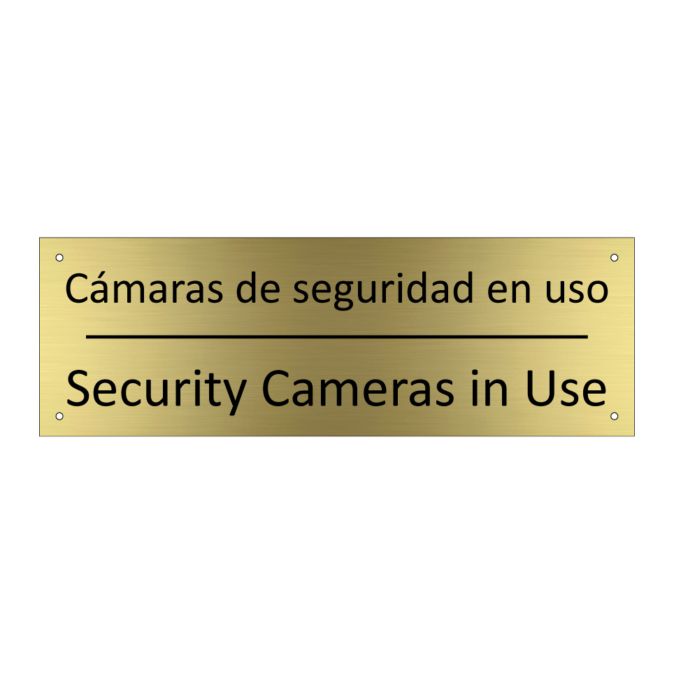 Cámaras de seguridad en uso - Security Cameras in Use