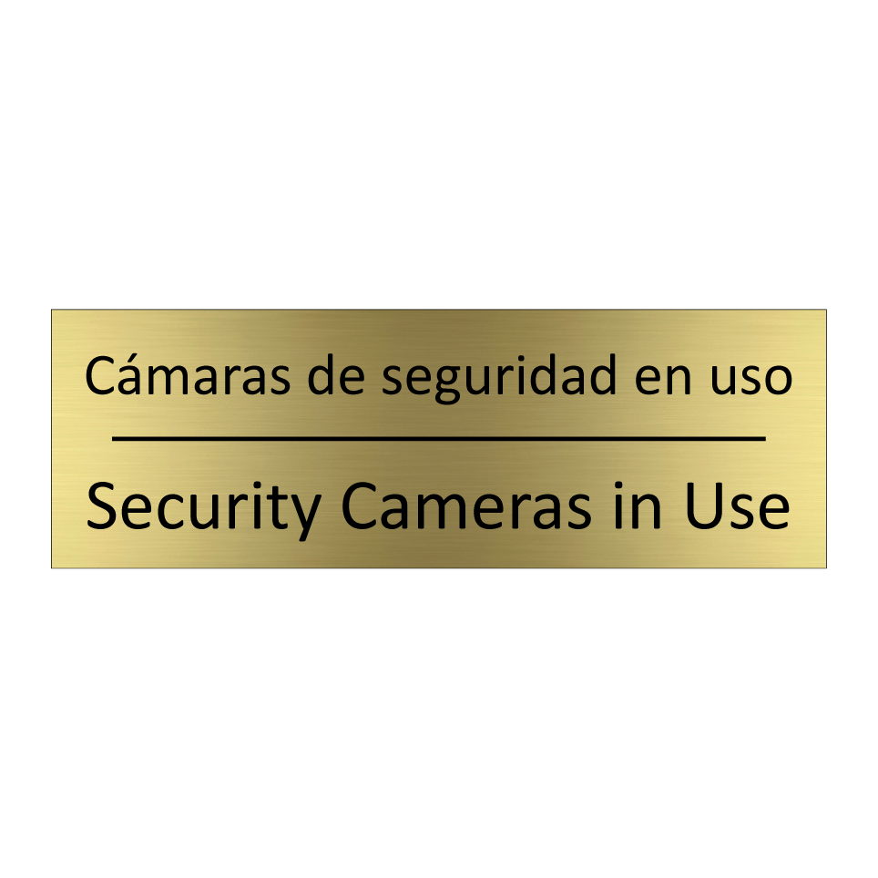Cámaras de seguridad en uso - Security Cameras in Use